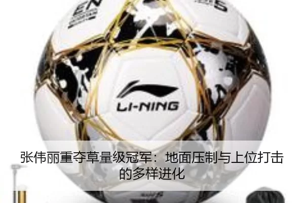 张伟丽重夺草量级冠军：地面压制与上位打击的多样进化